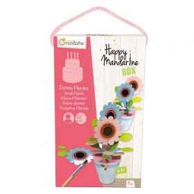 Happy Mandarine Box, Petites plantes - Rose Happy Mandarine Box, Petites plantes - Rose