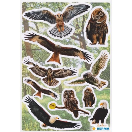 Sticker Rapaces - Herma®