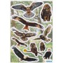 Sticker Rapaces - Herma®