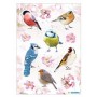 Sticker Oiseaux - Herma®